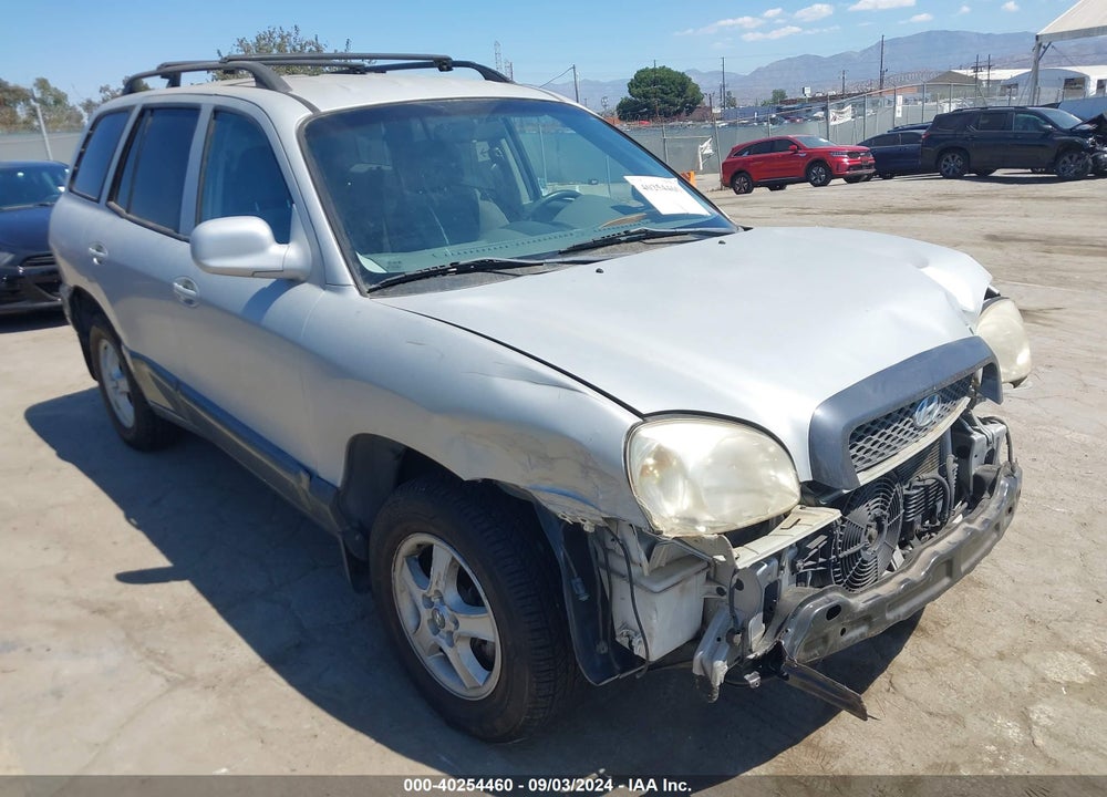 2003 HYUNDAI SANTA FE VIN: KM8SB12B63U356548