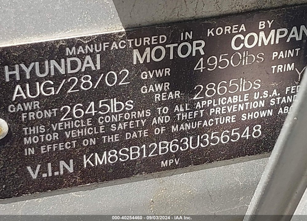 2003 HYUNDAI SANTA FE VIN: KM8SB12B63U356548