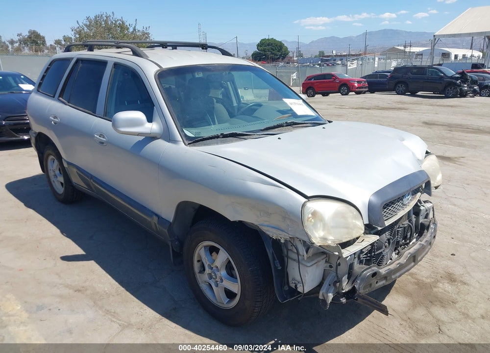 2003 HYUNDAI SANTA FE VIN: KM8SB12B63U356548