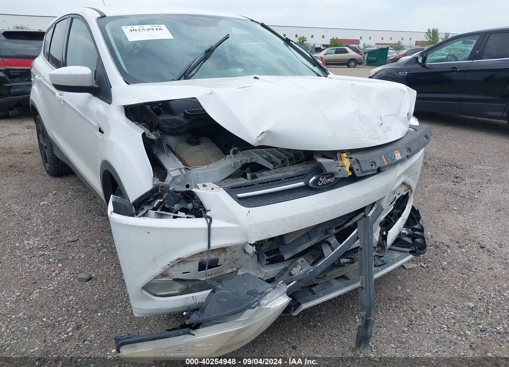 2014 FORD ESCAPE SE VIN: 1FMCU0G93EUE53000