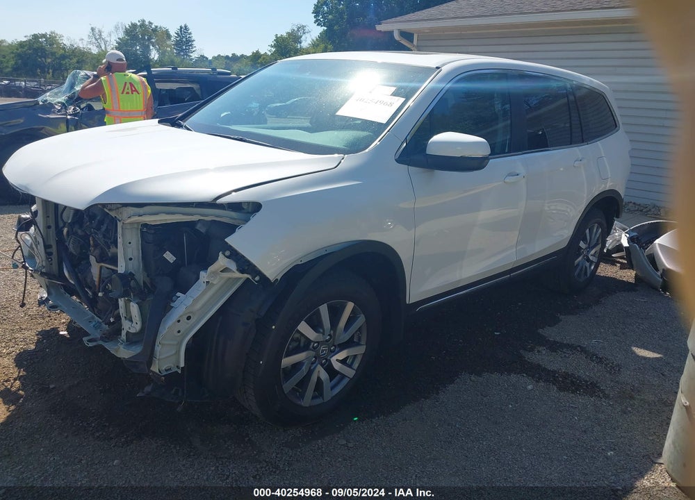 2019 HONDA PILOT EX-L VIN: 5FNYF6H54KB034340