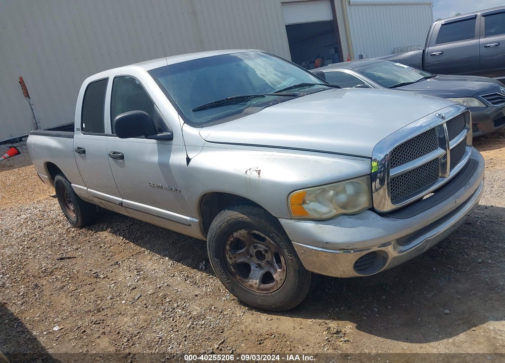 2002 DODGE RAM 1500 SLT VIN: 1D7HA18N22J173074