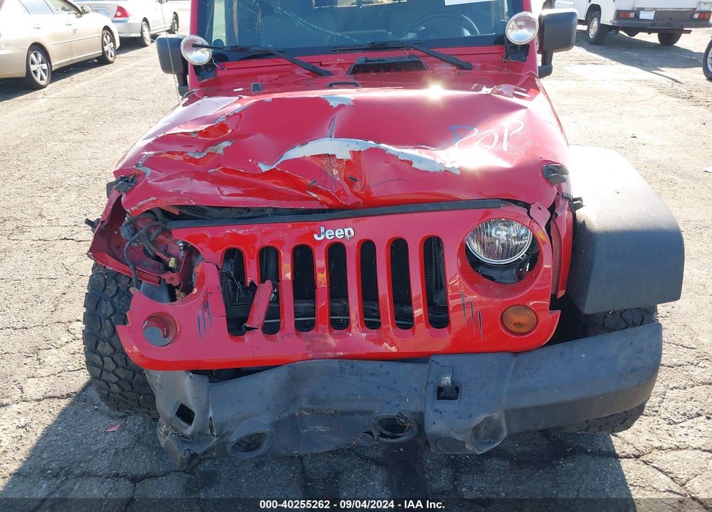 2010 JEEP WRANGLER RUBICON VIN: 1J4BA6D10AL136053