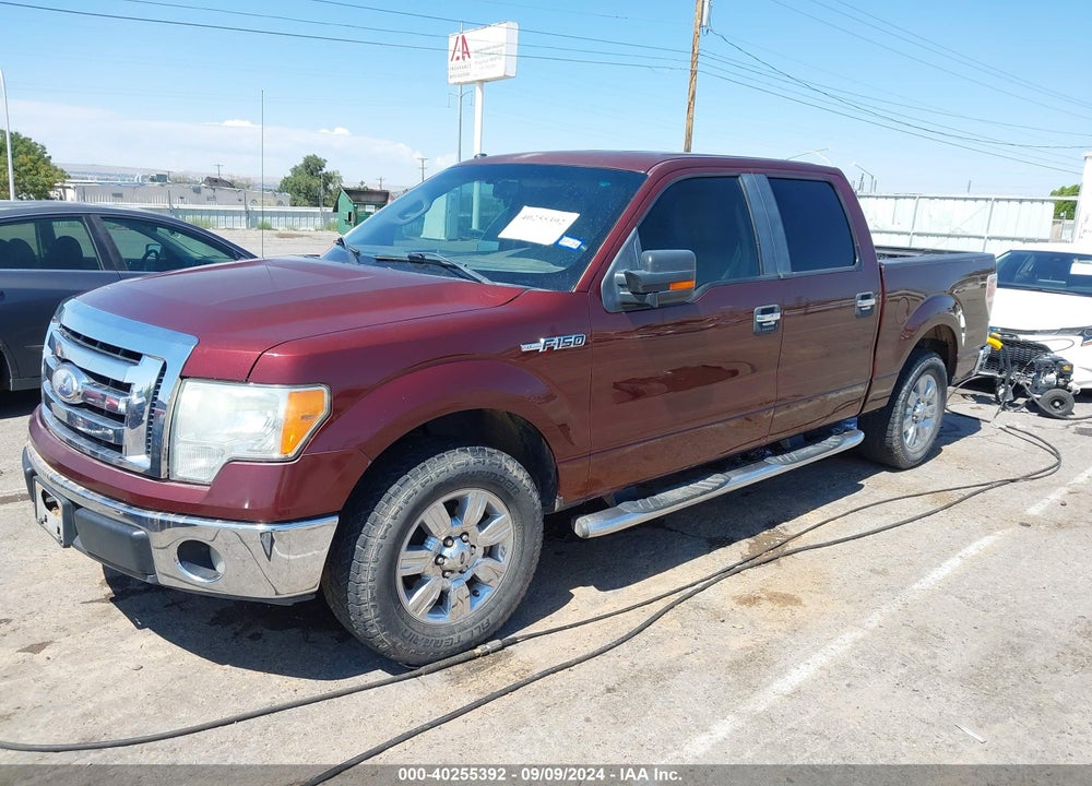2009 FORD F-150 XL/XLT VIN: 1FTRW12899KC75883