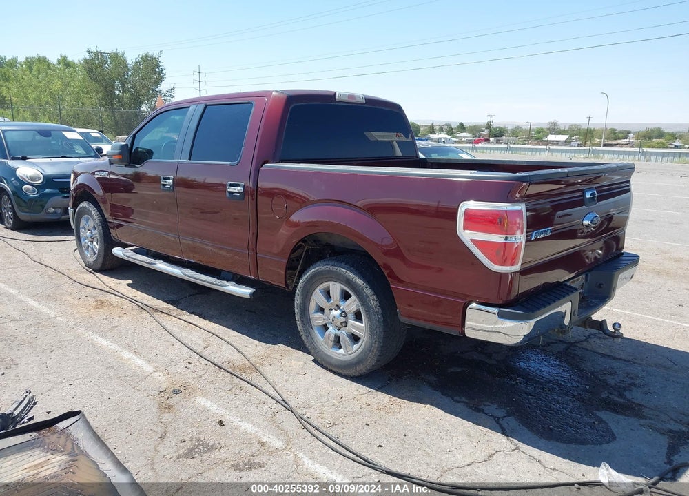 2009 FORD F-150 XL/XLT VIN: 1FTRW12899KC75883