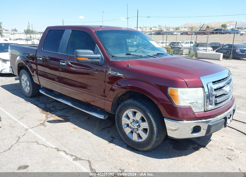2009 FORD F-150 XL/XLT VIN: 1FTRW12899KC75883