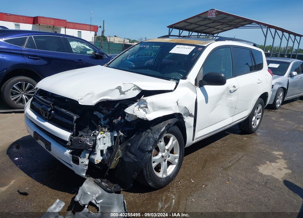 2011 TOYOTA RAV4 VIN: JTMBF4DV4B5041144