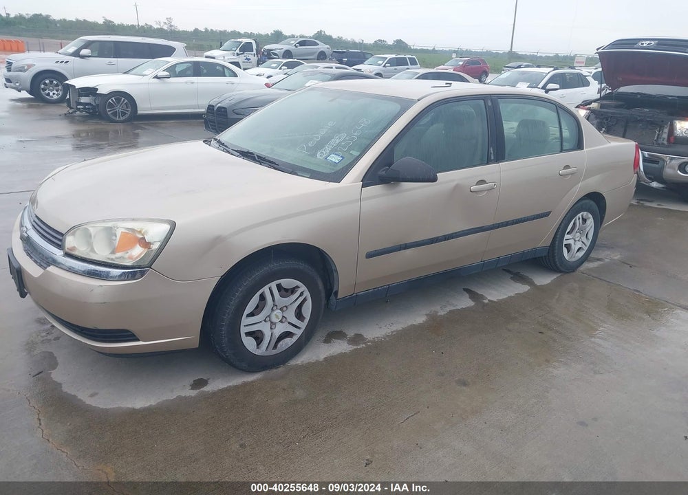 2005 CHEVROLET MALIBU VIN: 1G1ZS52F95F186862