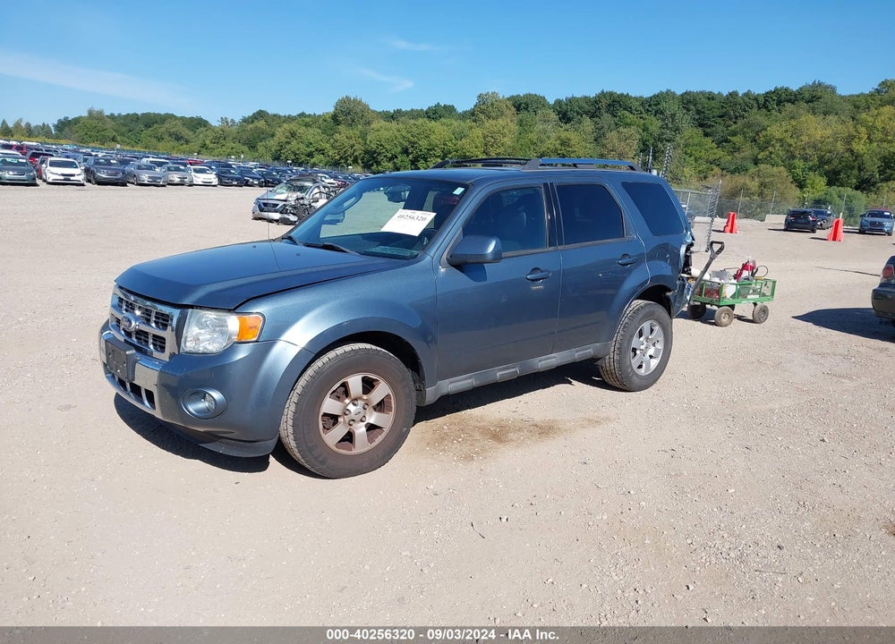 2010 FORD ESCAPE LIMITED VIN: 1FMCU9EG7AKC06316