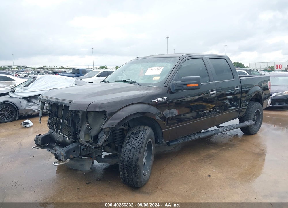 2014 FORD F-150 XLT VIN: 1FTFW1EF6EKD44634
