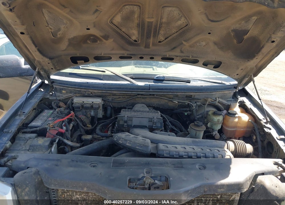 2006 FORD F-150 FX4/LARIAT/XL/XLT VIN: 1FTPX14546FA09313