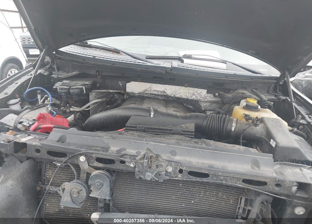 2014 FORD F-150 XLT VIN: 1FTFW1ET7EKD36094