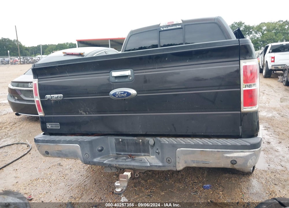2014 FORD F-150 XLT VIN: 1FTFW1ET7EKD36094