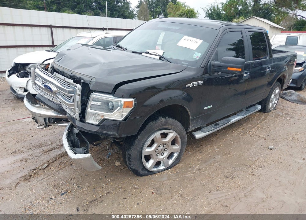 2014 FORD F-150 XLT VIN: 1FTFW1ET7EKD36094