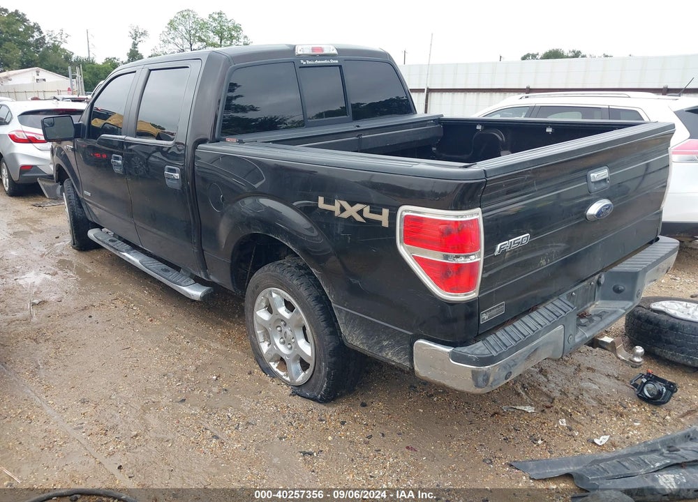 2014 FORD F-150 XLT VIN: 1FTFW1ET7EKD36094