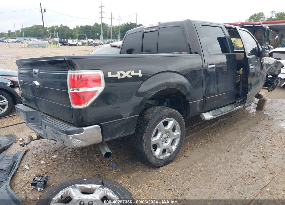 2014 FORD F-150 XLT VIN: 1FTFW1ET7EKD36094