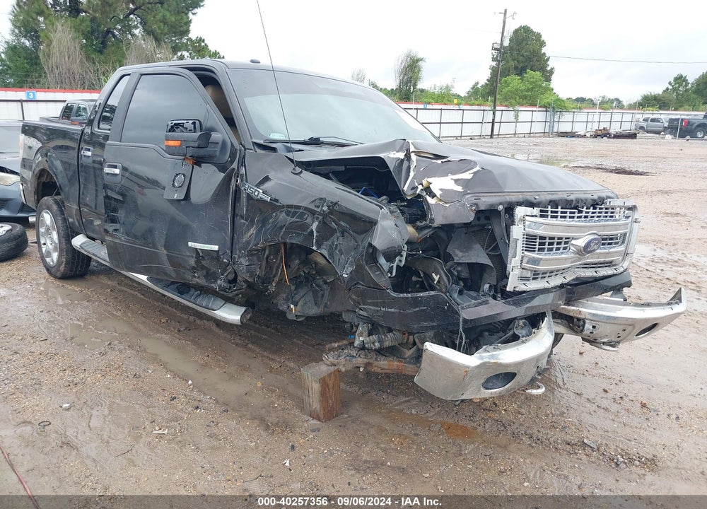 2014 FORD F-150 XLT VIN: 1FTFW1ET7EKD36094
