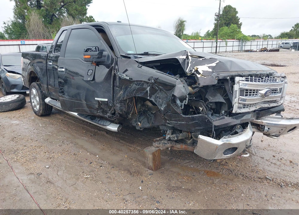 2014 FORD F-150 XLT VIN: 1FTFW1ET7EKD36094