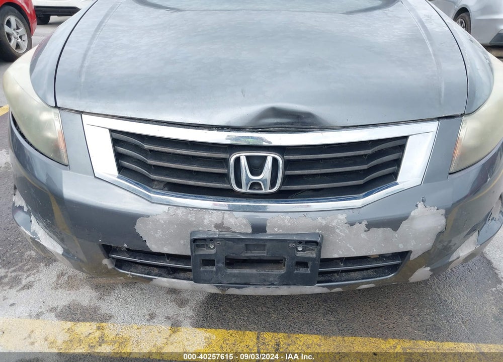 2010 HONDA ACCORD VIN: 1HGCP2F49AA164407