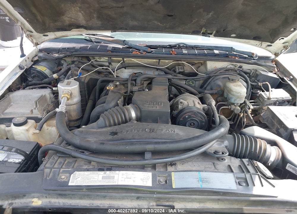 2002 CHEVROLET S-10 LS VIN: 1GCCS145728100393