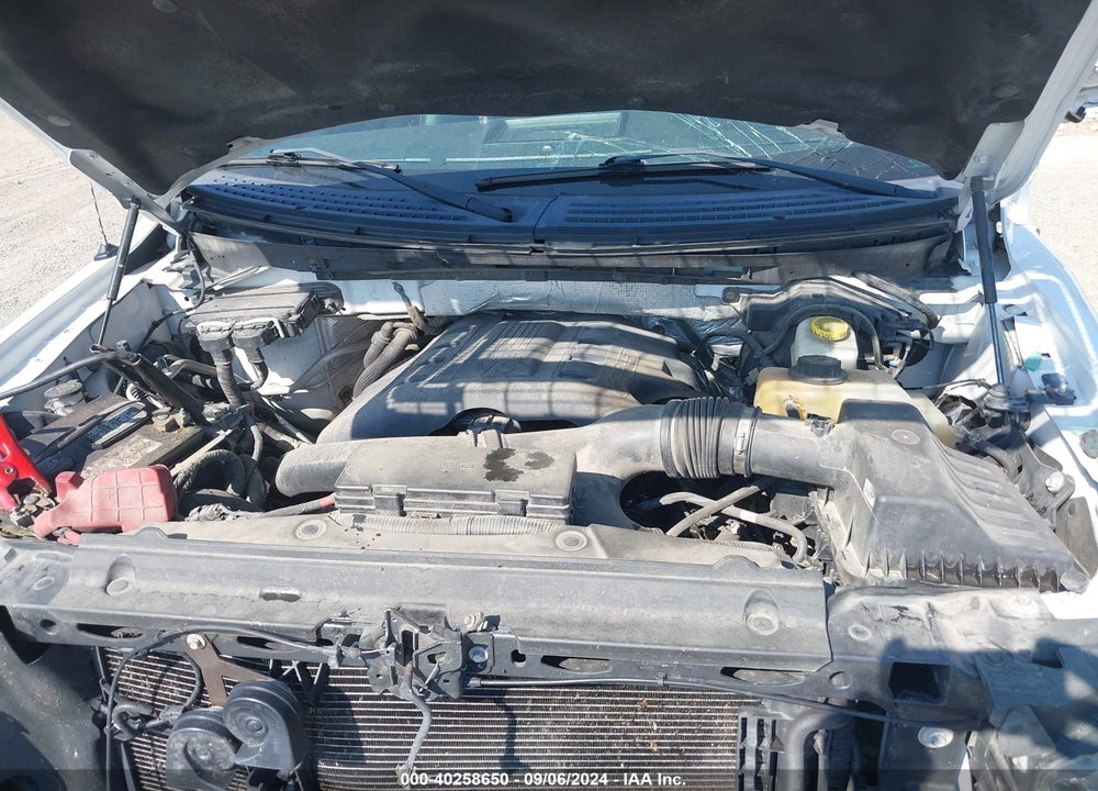 2013 FORD F-150 FX4 VIN: 1FTFW1ET1DFE00461