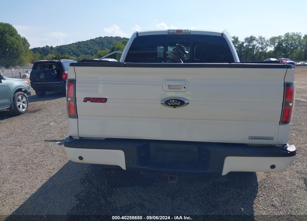 2013 FORD F-150 FX4 VIN: 1FTFW1ET1DFE00461