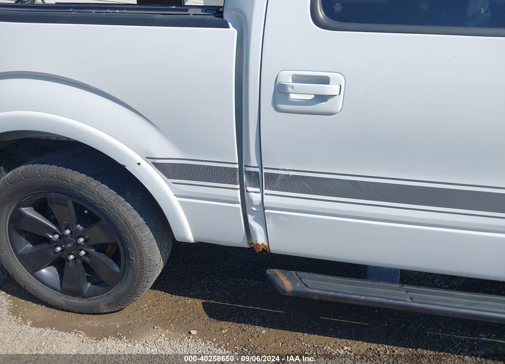 2013 FORD F-150 FX4 VIN: 1FTFW1ET1DFE00461