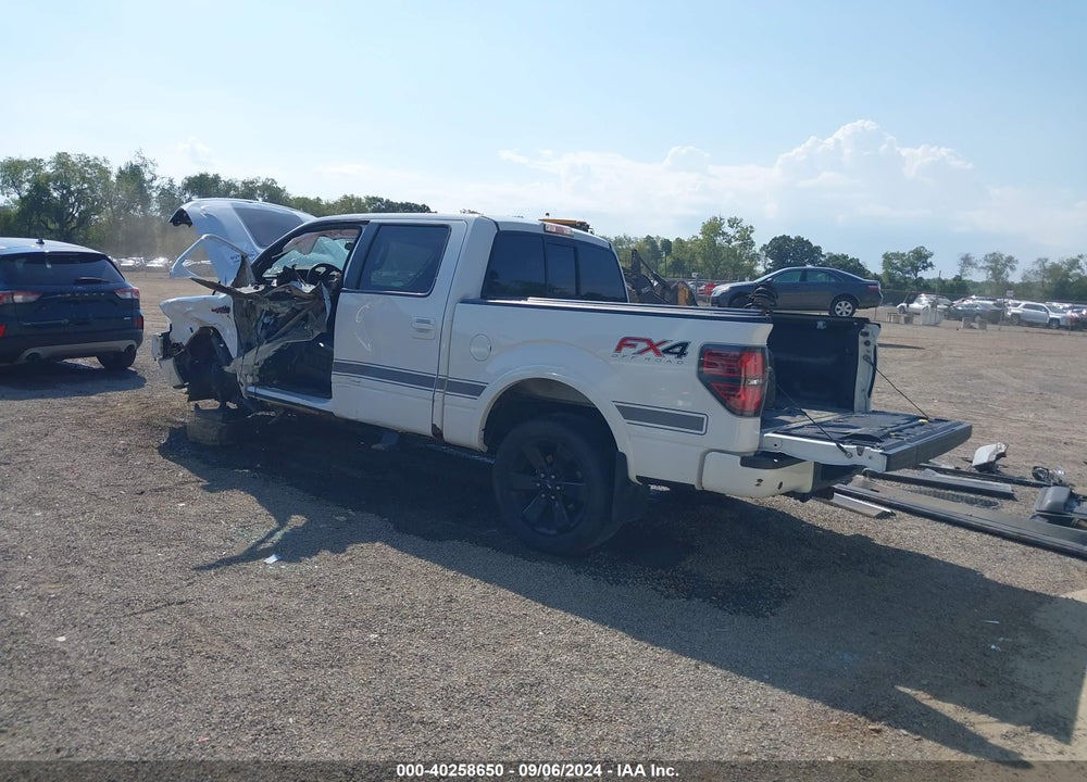 2013 FORD F-150 FX4 VIN: 1FTFW1ET1DFE00461