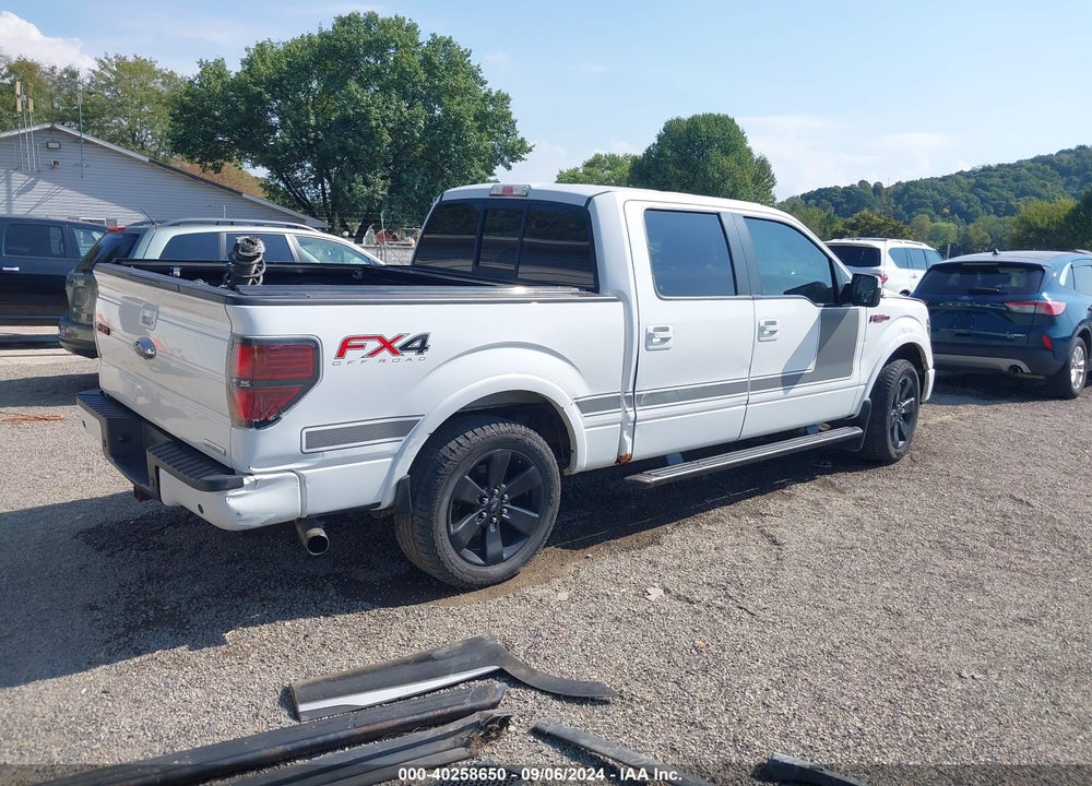 2013 FORD F-150 FX4 VIN: 1FTFW1ET1DFE00461