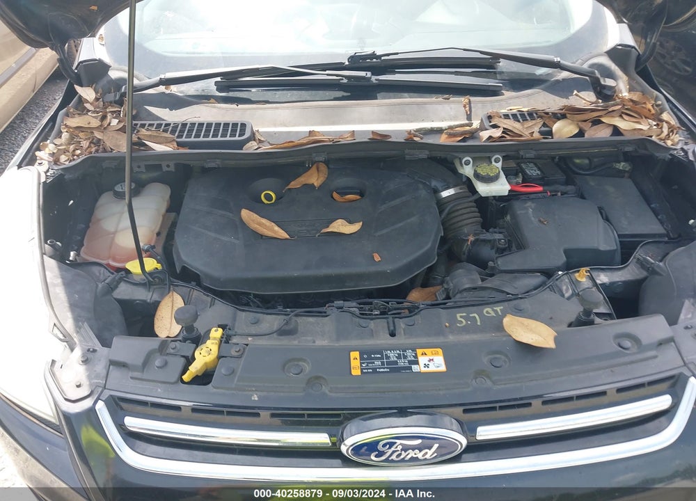 2013 FORD ESCAPE SEL VIN: 1FMCU0H95DUD93461