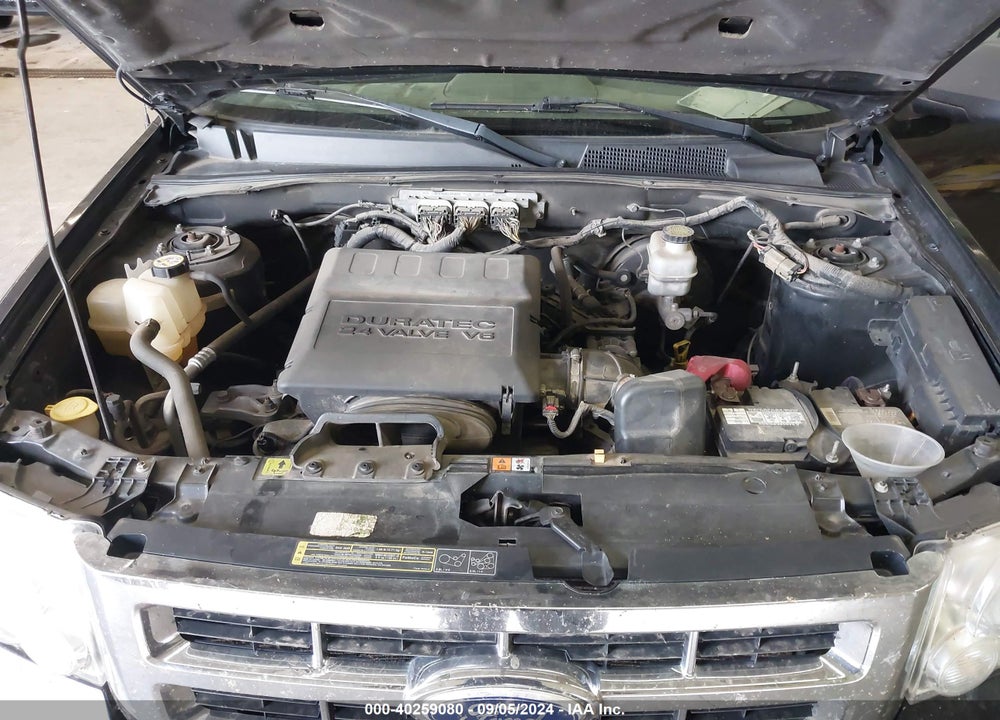 2010 FORD ESCAPE XLT VIN: 1FMCU9DG5AKA55901