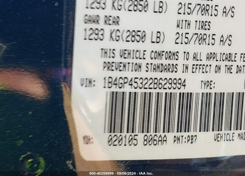 2002 DODGE CARAVAN VIN: 1B4GP45322B629994