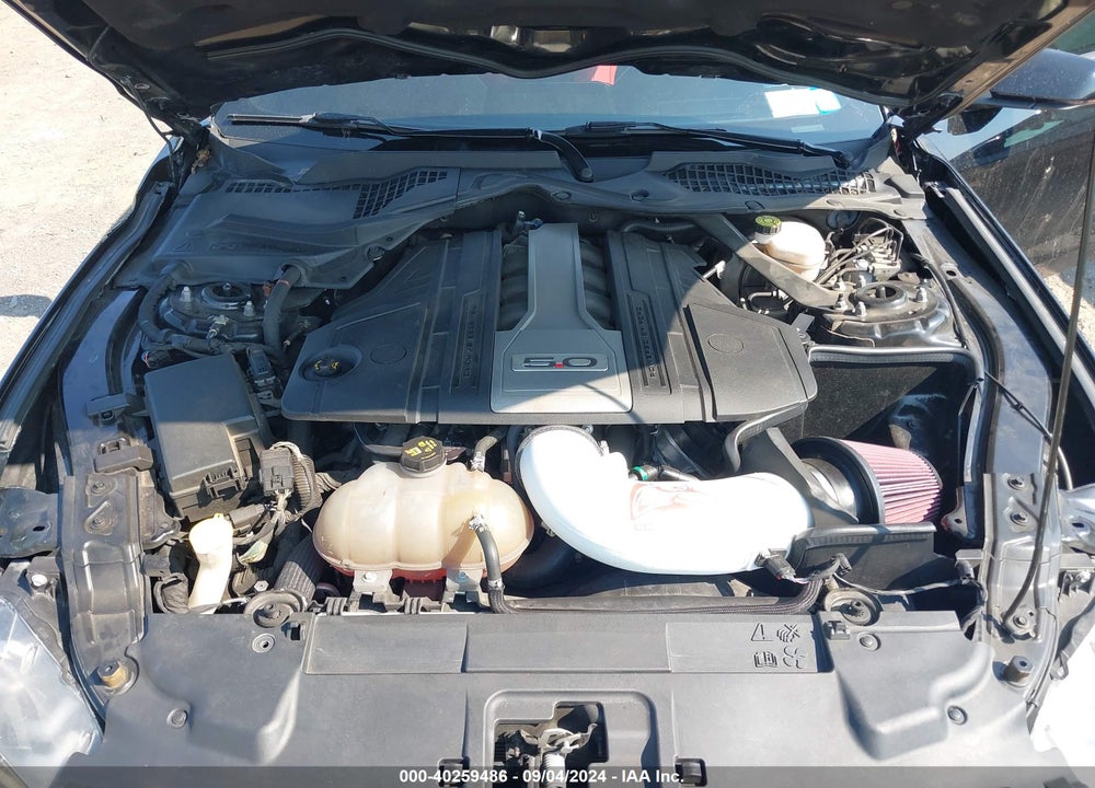 2019 FORD MUSTANG GT PREMIUM VIN: 1FA6P8CF3K5177092