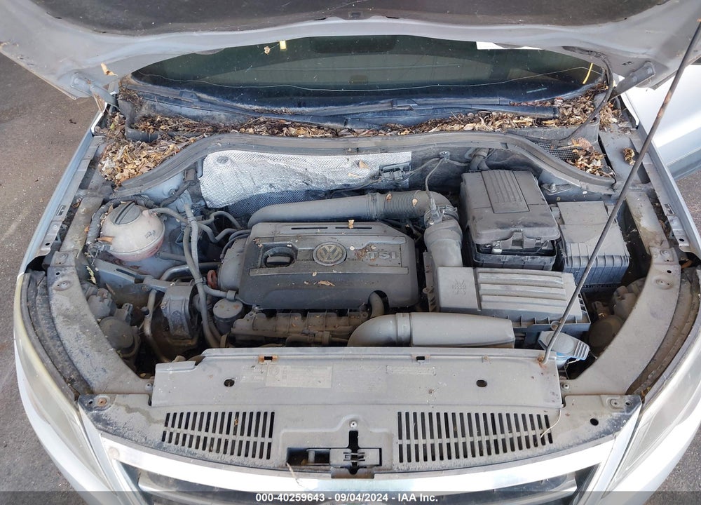 2010 VOLKSWAGEN TIGUAN SEL VIN: WVGBV7AX2AW513968