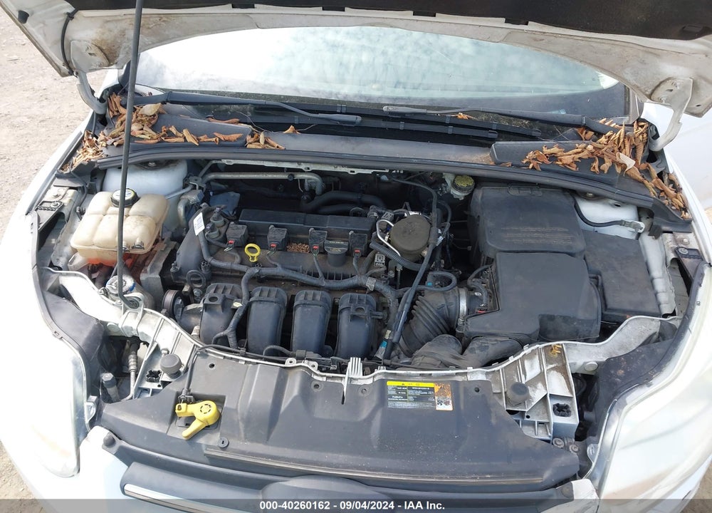 2013 FORD FOCUS SE VIN: 1FADP3F28DL195184