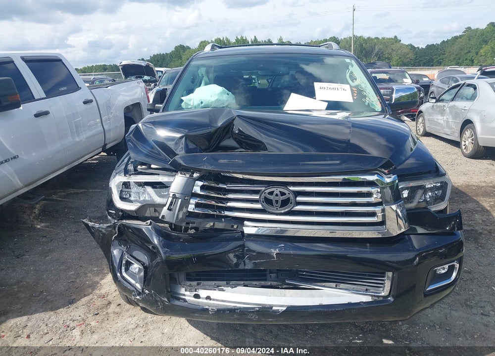 2019 TOYOTA SEQUOIA PLATINUM VIN: 5TDDY5G17KS167915