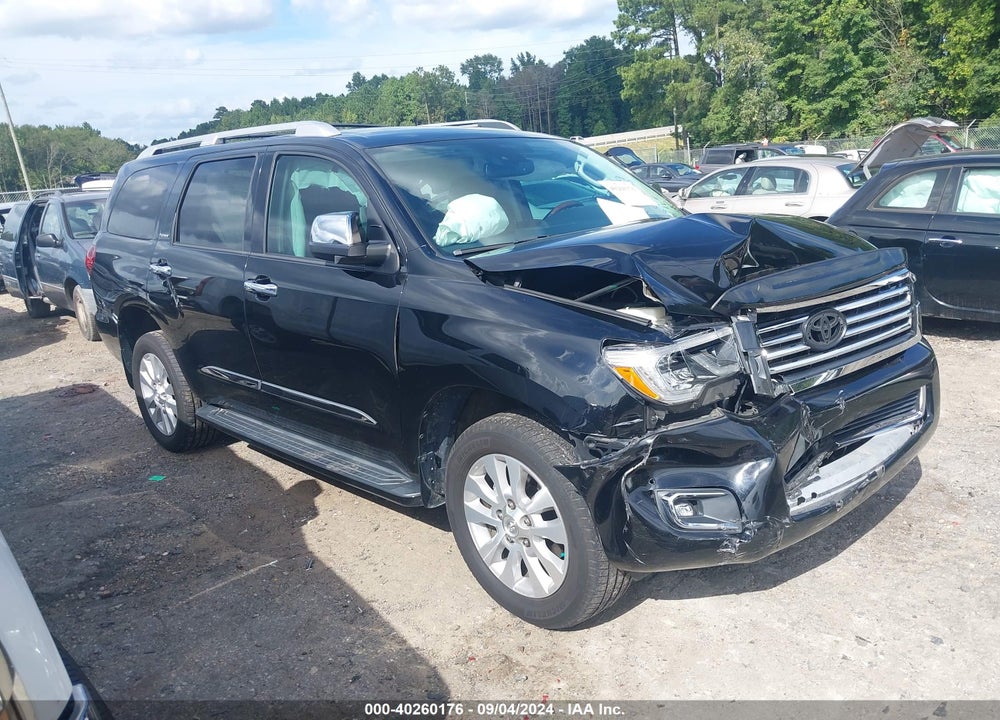 2019 TOYOTA SEQUOIA PLATINUM VIN: 5TDDY5G17KS167915