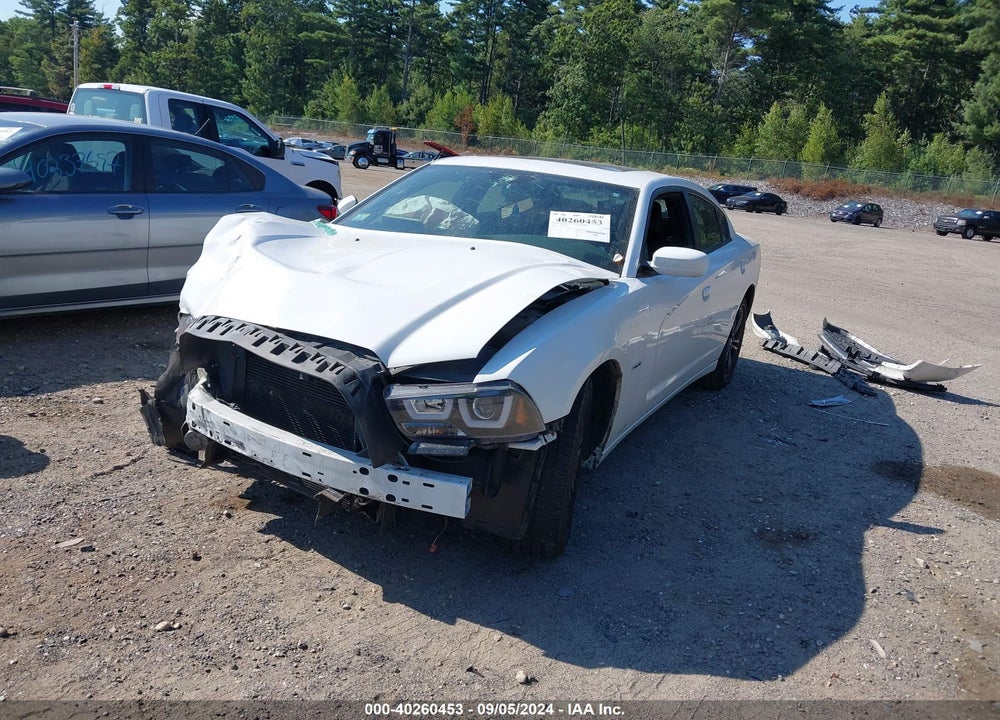 2014 DODGE CHARGER VIN: 2C3CDXDT6EH272266