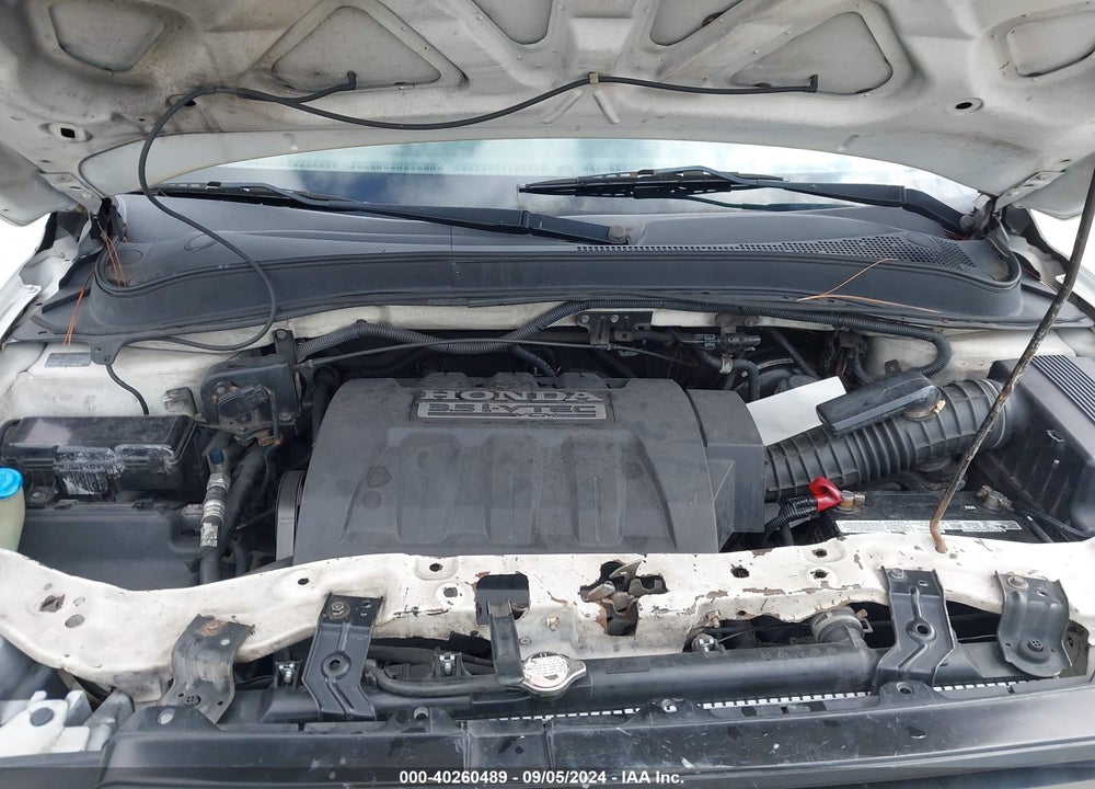 2006 HONDA PILOT EX-L VIN: 5FNYF28616B027286