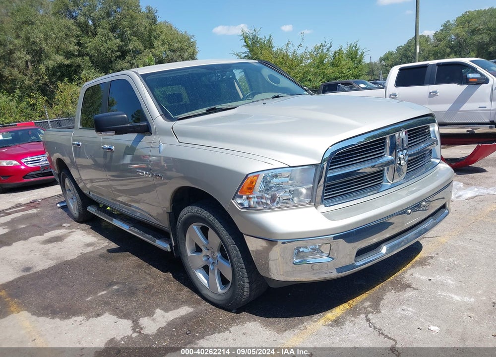 2009 DODGE RAM 1500 SLT/SPORT/TRX VIN: 1D3HV13T29J513216