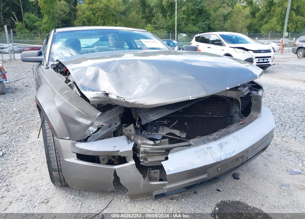 2005 FORD MUSTANG VIN: 1ZVFT80N455251803