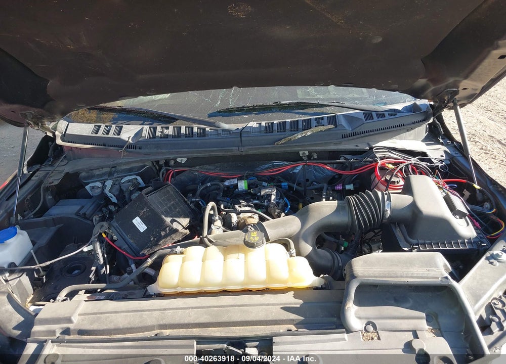 2019 FORD F-150 XLT VIN: 1FTEW1EP6KFC98795