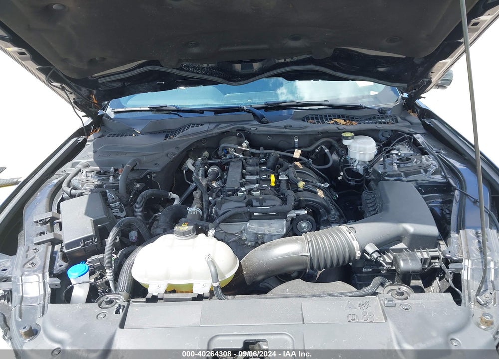 2022 FORD MUSTANG ECOBOOST FASTBACK VIN: 1FA6P8TH7N5147034