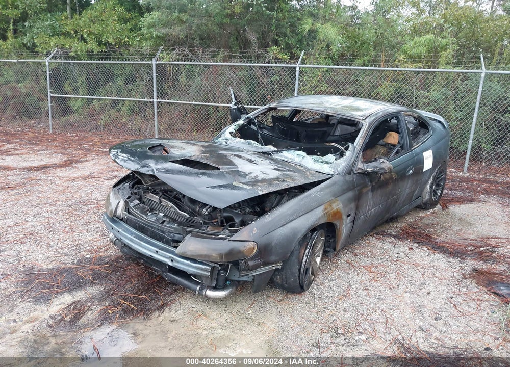 2006 PONTIAC GTO VIN: 6G2VX12U46L818885