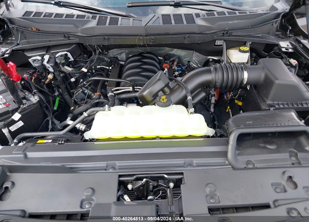 2024 FORD F-150 XLT VIN: 1FTFW3L5XRKE29956