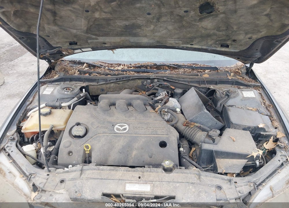 2005 MAZDA MAZDA6 VIN: 1YVHP84D055M07203