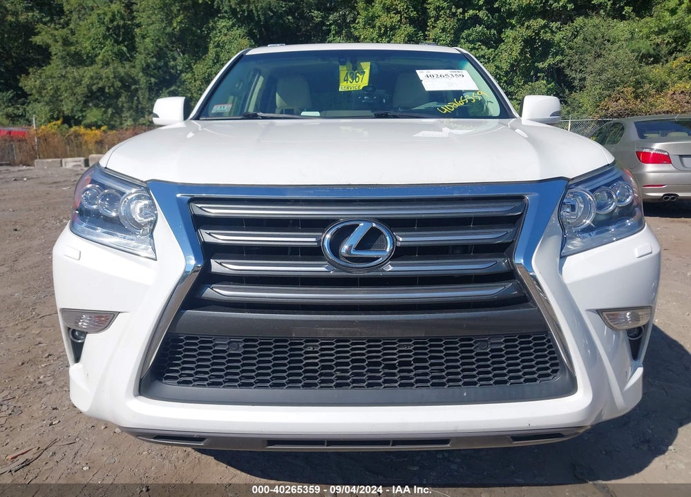 2017 LEXUS 460 VIN: JTJBM7FX7H5165369