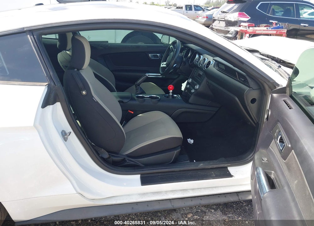 2019 FORD MUSTANG ECOBOOST VIN: 1FA6P8TH9K5110207
