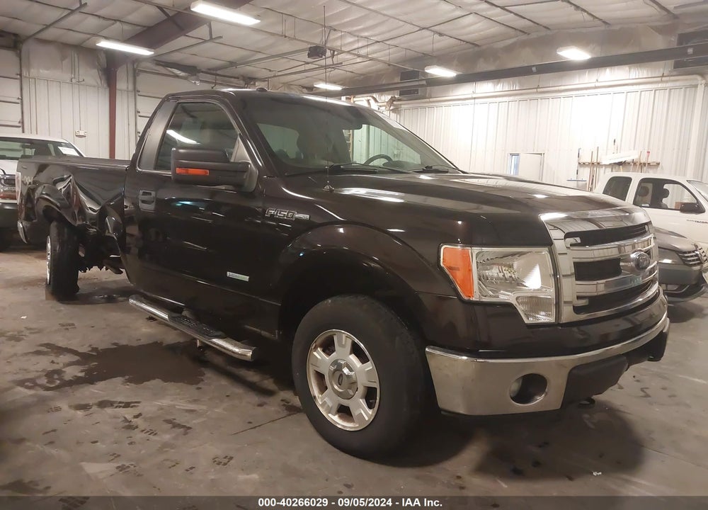 2014 FORD F-150 XLT VIN: 1FTNF1ET4EKE00359