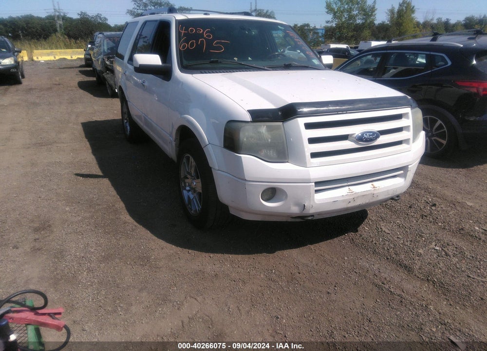 2010 FORD EXPEDITION LIMITED VIN: 1FMJU2A50AEA00580